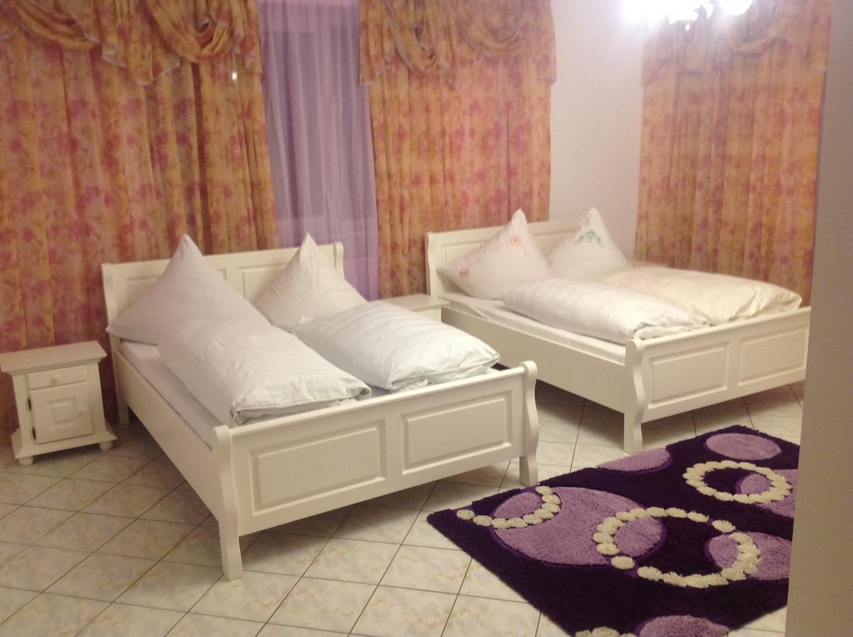 Casa Avram Hotel Сучевица Екстериор снимка